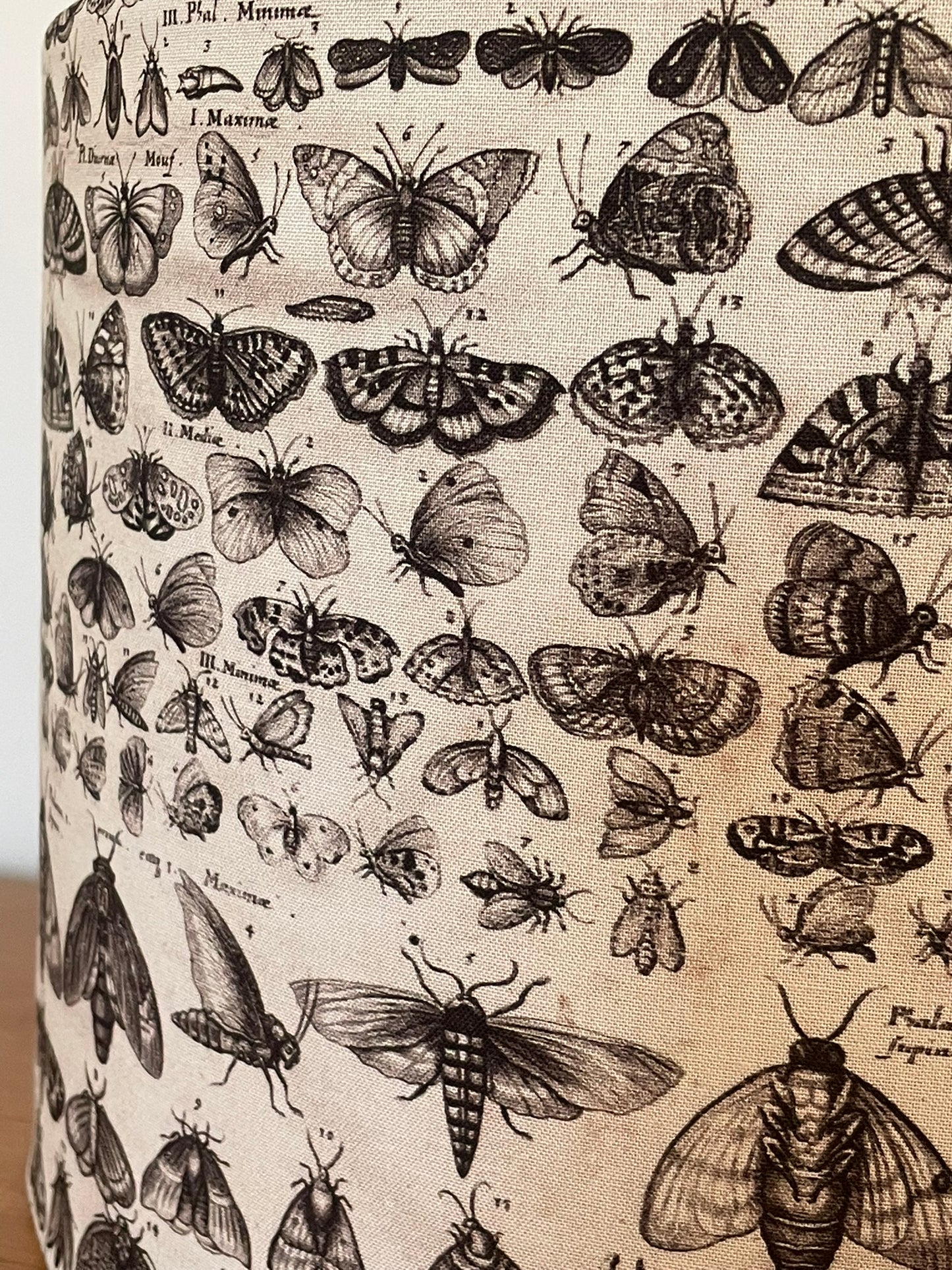 Charcoal Moth Lampshade