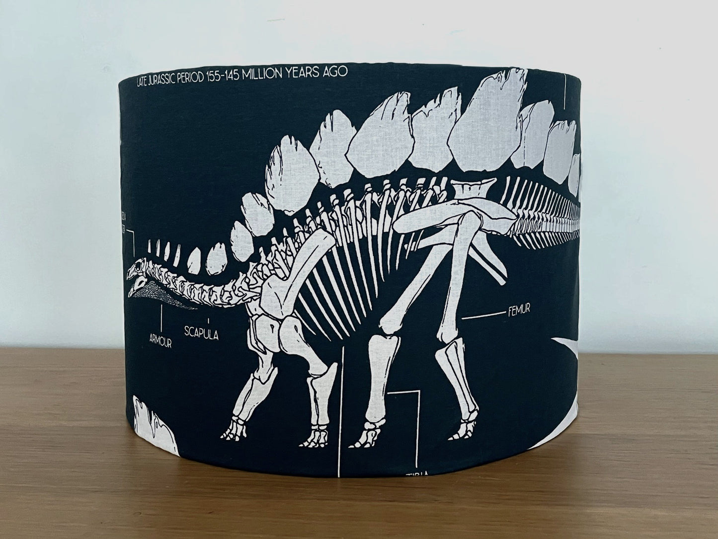 Dinosaur Skeleton With Scientific Text Lampshade