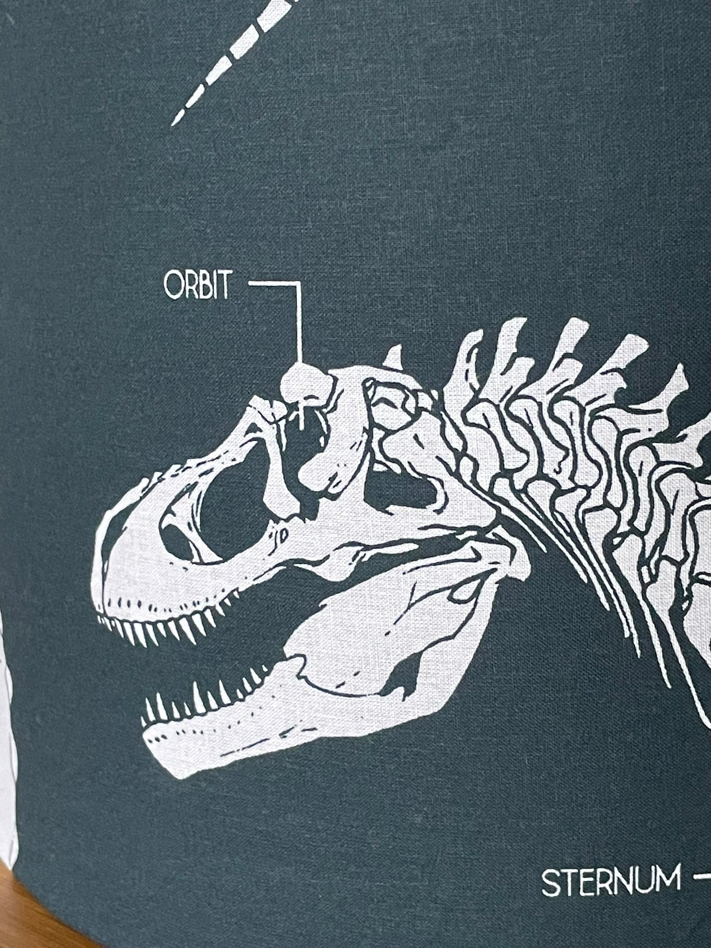 Dinosaur Skeleton With Scientific Text Lampshade