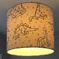 Dinosaur Constellation Lampshade